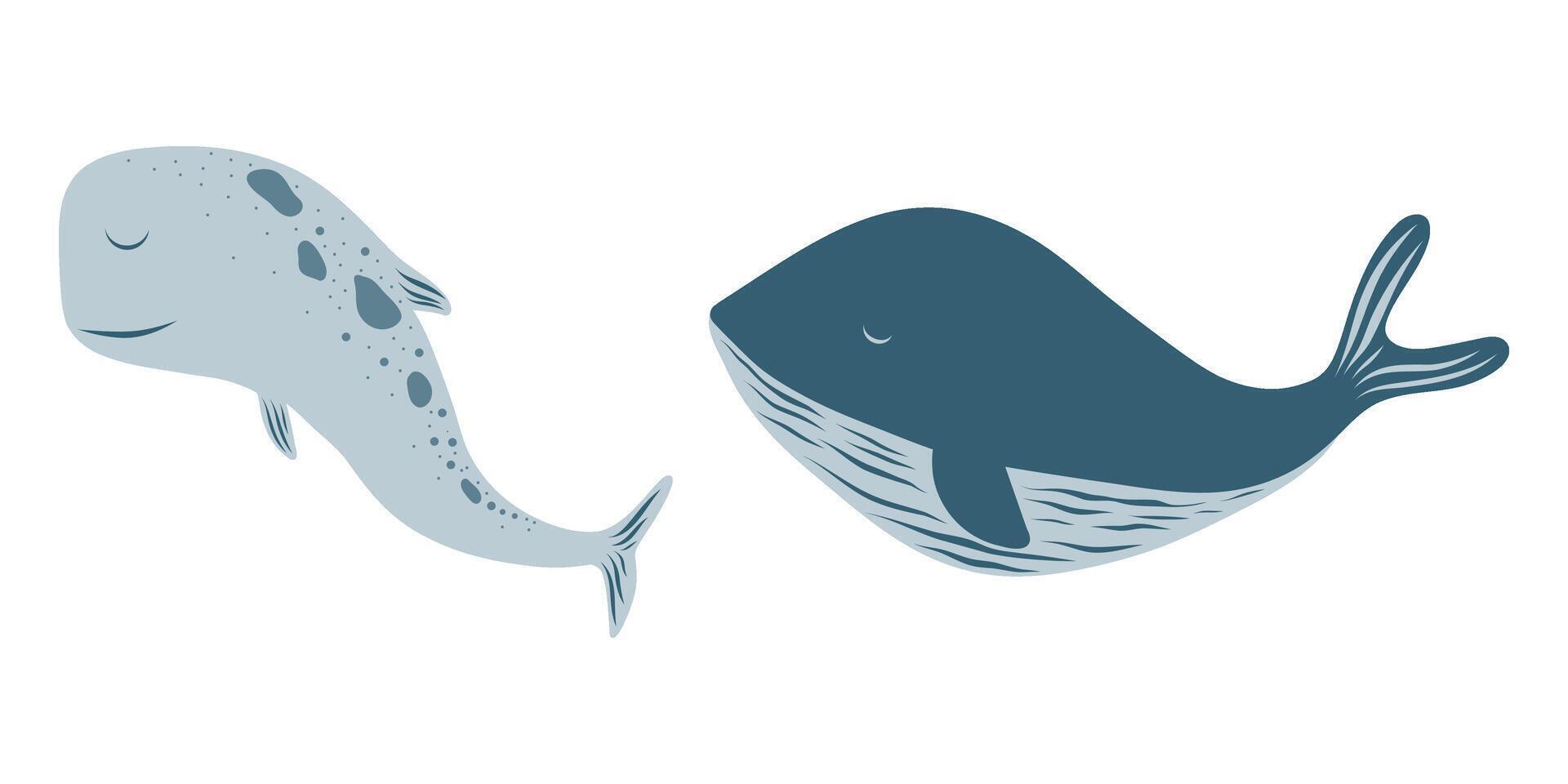 Two different whales illustration, funny and cute cartoon whales vector