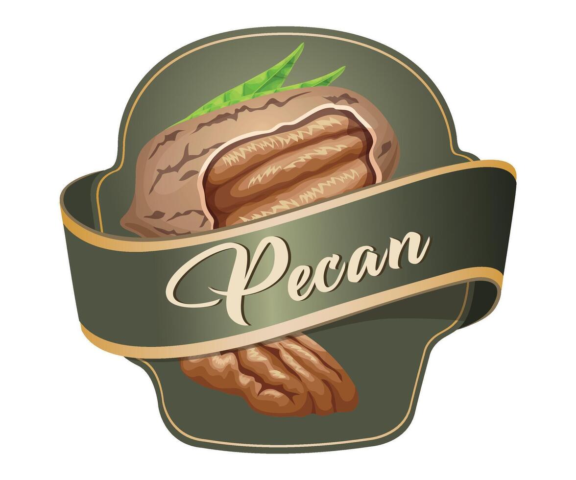 green pecan nuts jar sticker on white background vector