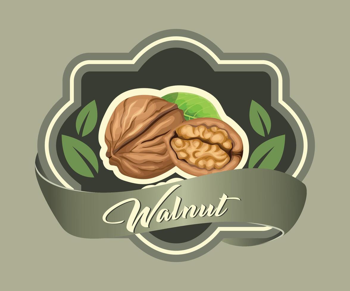 colored sticker with walnut on olive background vector