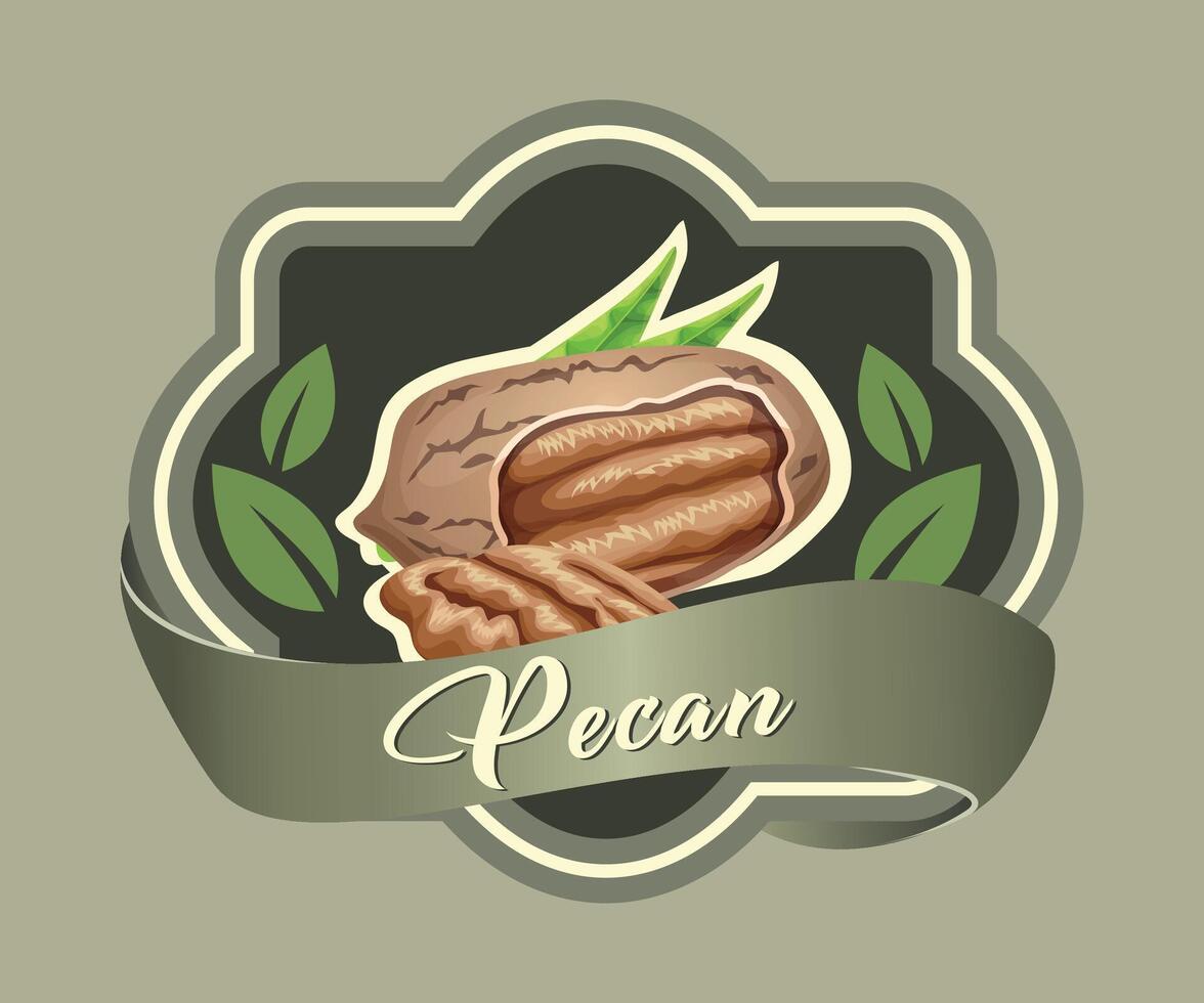 colored sticker with pecan nut on olive background vector