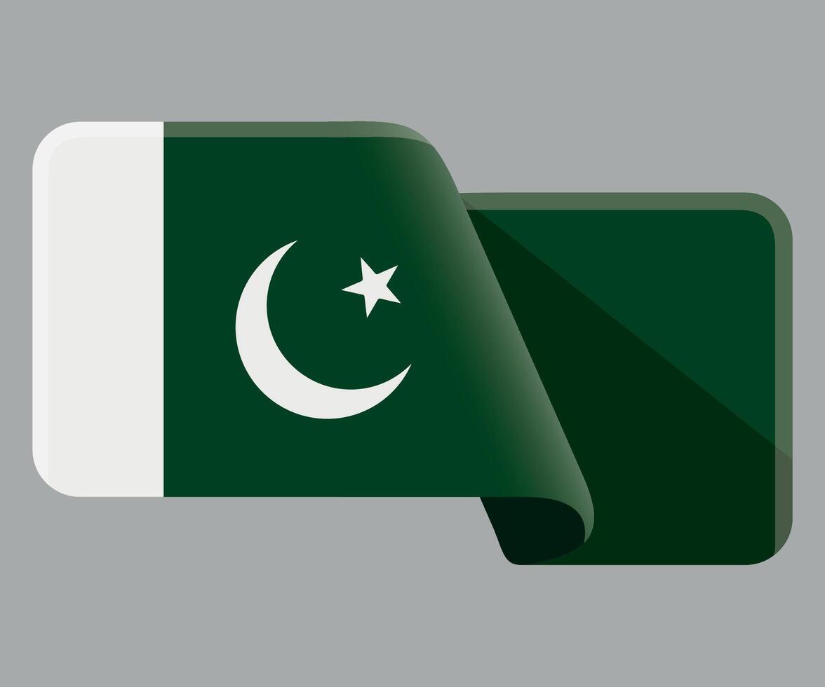 rectangular stylized national flag of Pakistan on white background vector