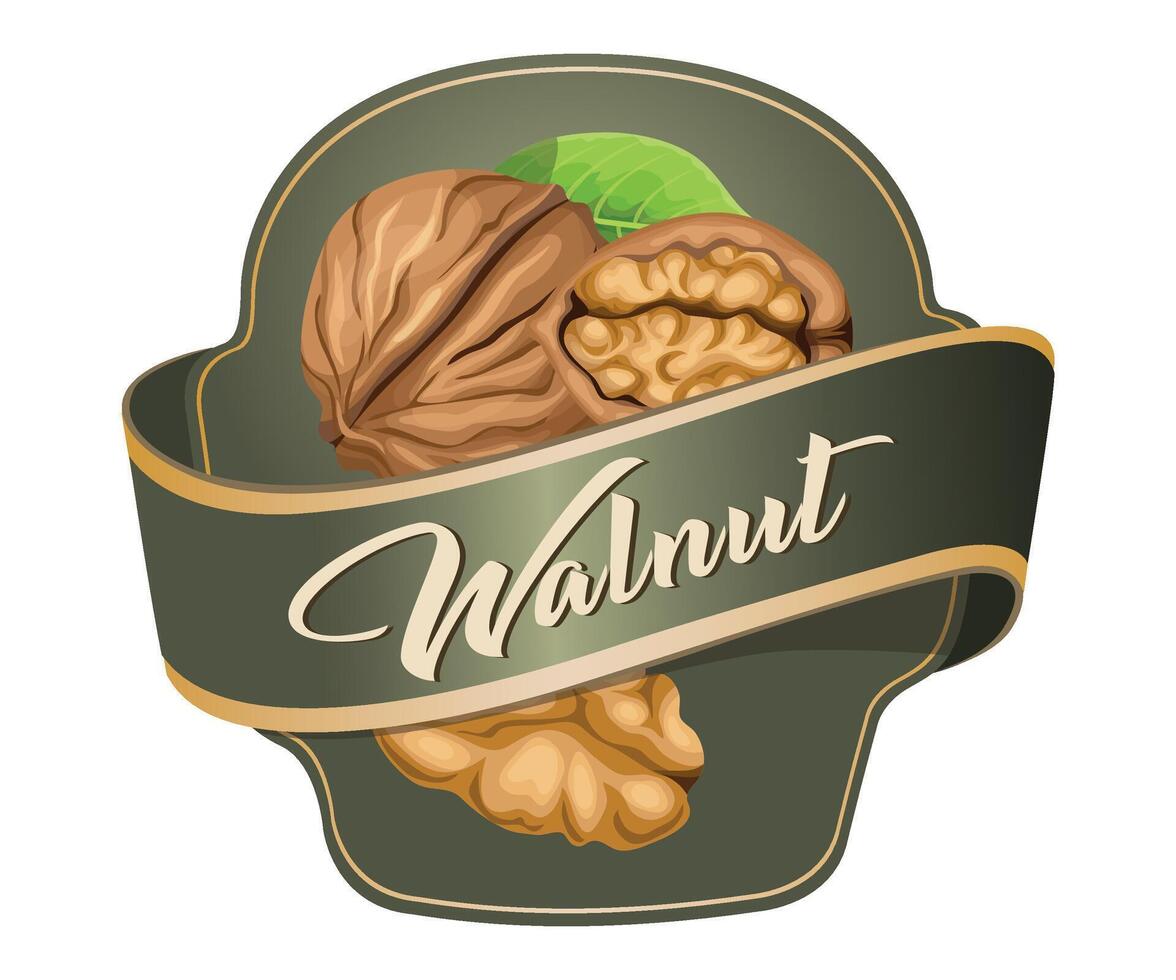 green walnut nuts jar sticker on white background vector