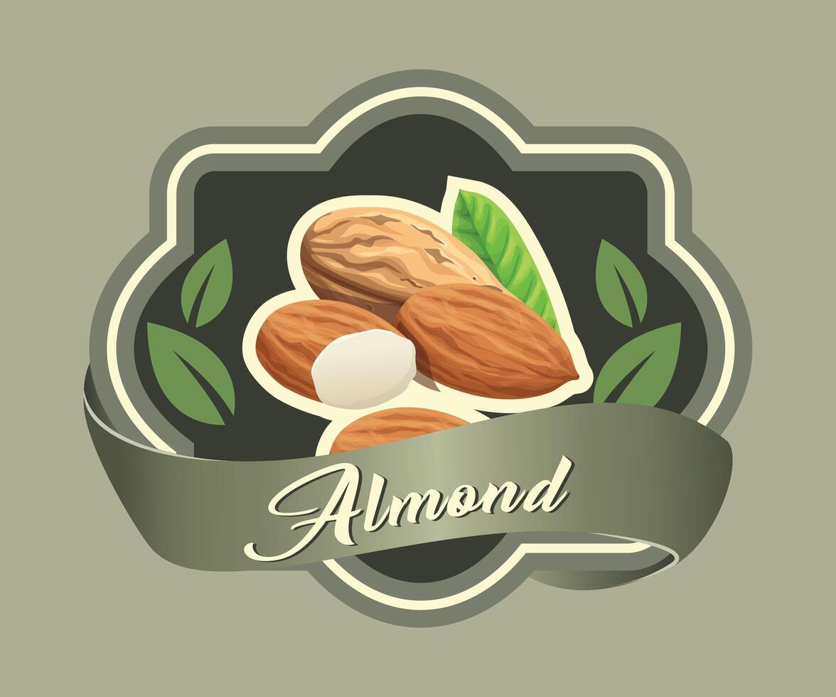 colored sticker with almond nut on olive background vector