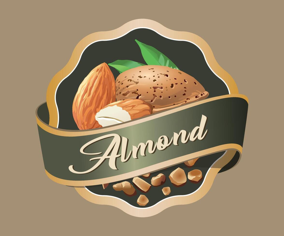 green almond nut jar sticker with gold trim on light brown background vector