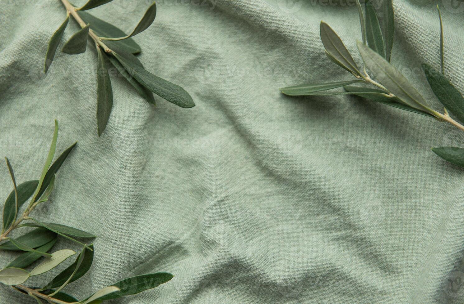 Olive branches arranged on green fabric background for sustainable design photo