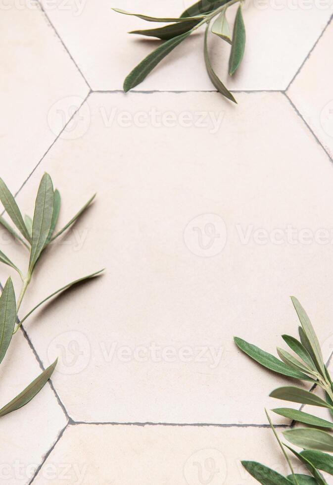 Olive branches framing neutral hexagonal tile background with copy space photo