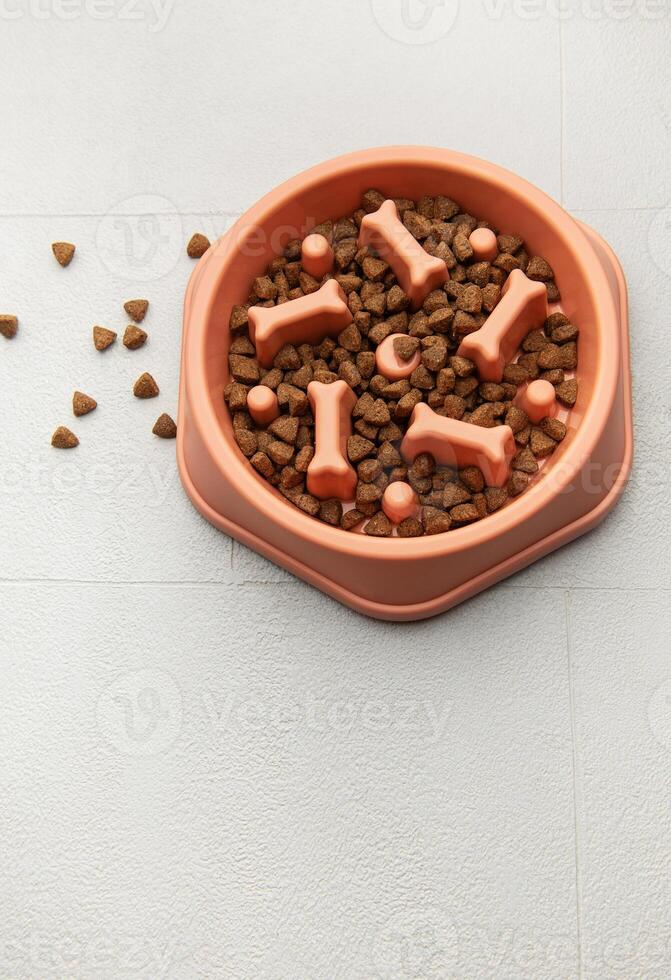 Dry pet food is in a slow feeder bowl on a floor photo