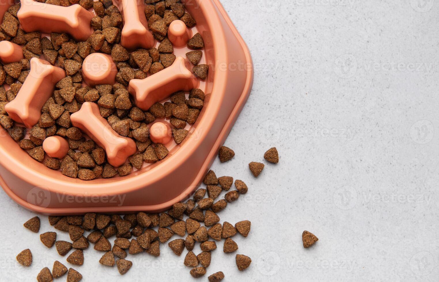 Slow feeder bowl preventing gulping and improving digestion photo