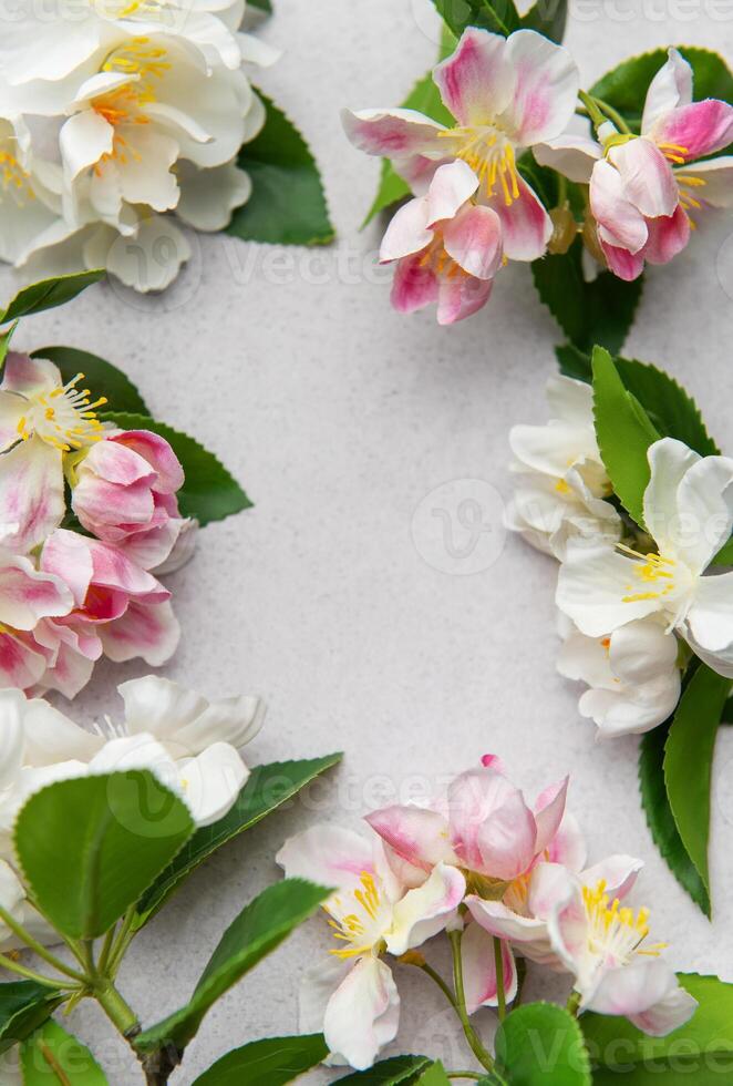 Apple blossoms creating a delicate frame on a textured background photo
