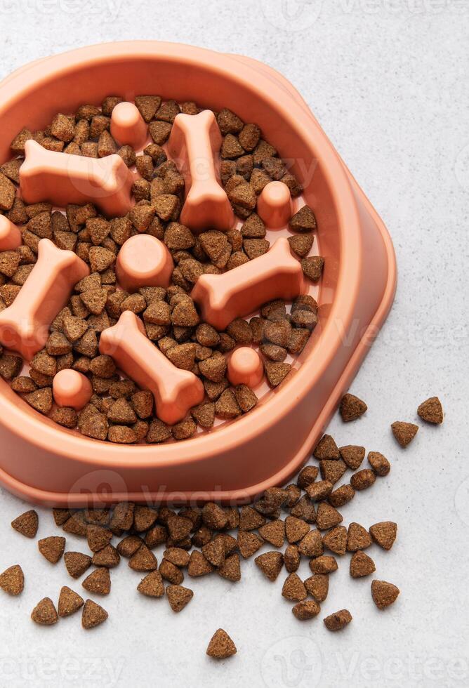 Slow feeder dog bowl preventing gulping and improving digestion on concrete floor photo