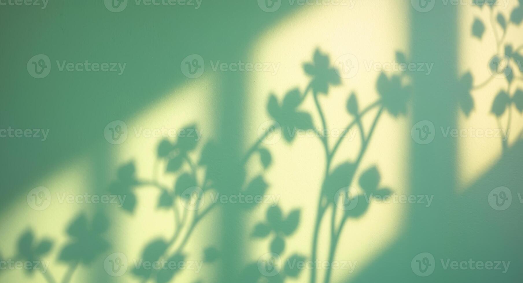 Shadow of leaves on wall photo
