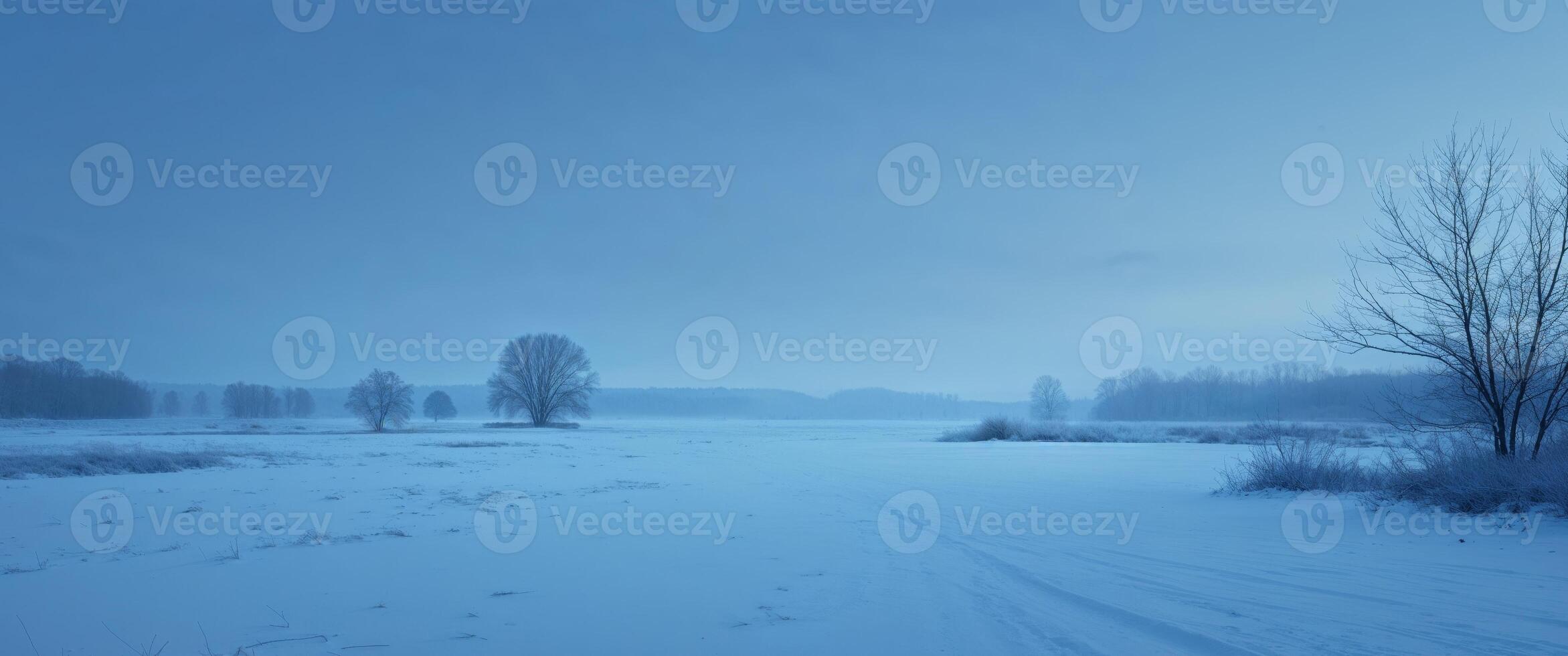 Blue Hour Stillness A deep twilight atmosphere with a soft blue tone covering the snow photo