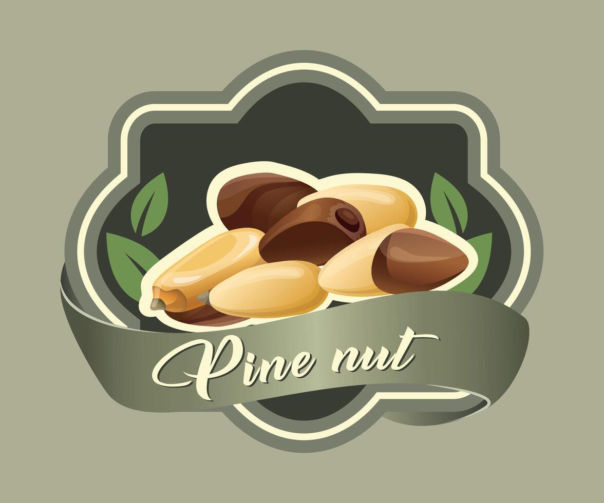 colored sticker with pine nut on olive background vector