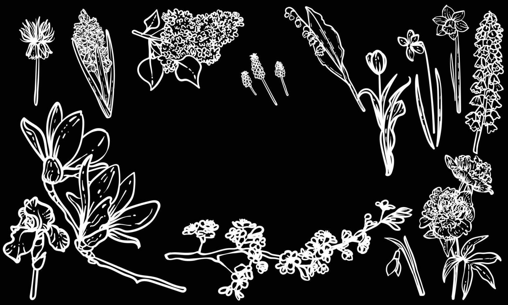 White line art of spring flowers such as hyacinth, snowdrop, narcissus, lily of the valley, tulip, peony, lilac, magnolia, iris, narcissus. Hand drawn flowers for print and web designs. vector