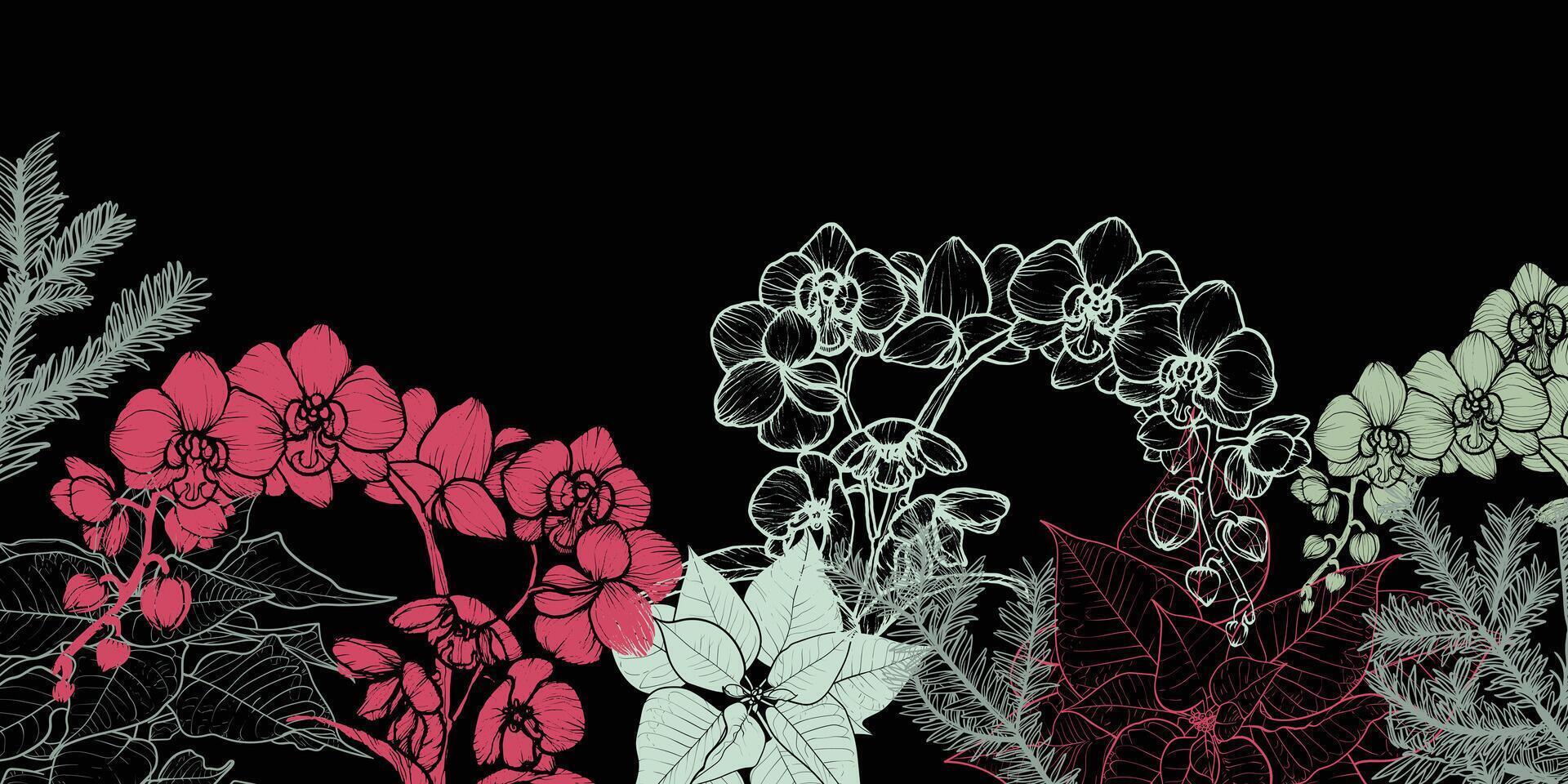 Abstract art background . Beautiful winter wallpaper with line art orchids, pine, poinsettia. Flowers on black background. Botanical illustration for banner, print, Web vector