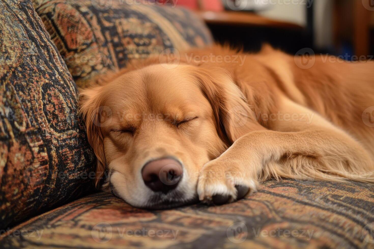 A Cozy Dog Sleeping Comfortably on a Couch, Perfect for Pet Lovers and Home Decor photo