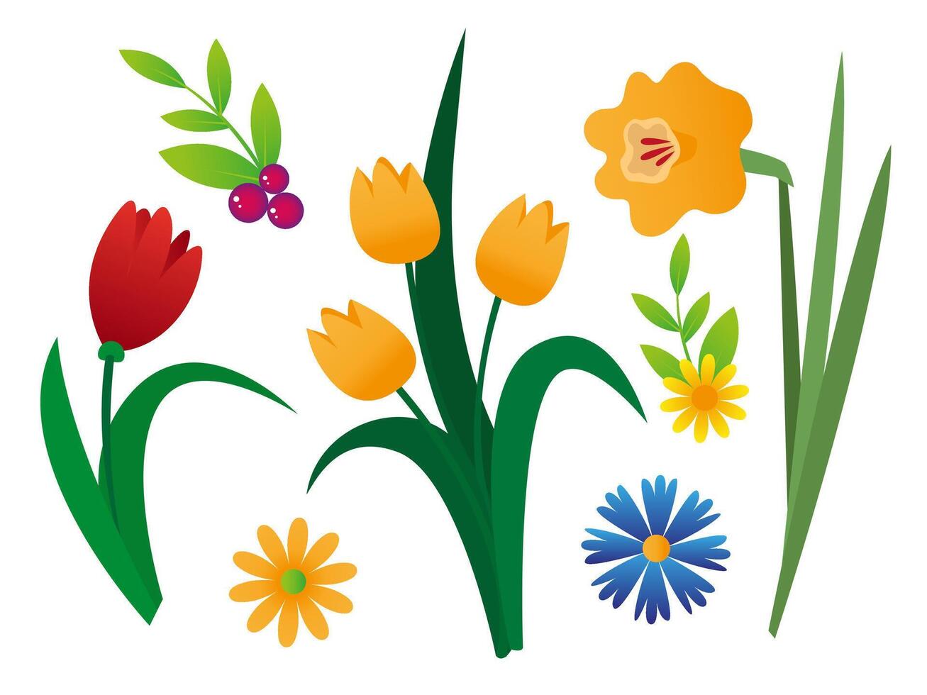 Spring flower set on white background. Decorative botanic element for spring banners and cards vector