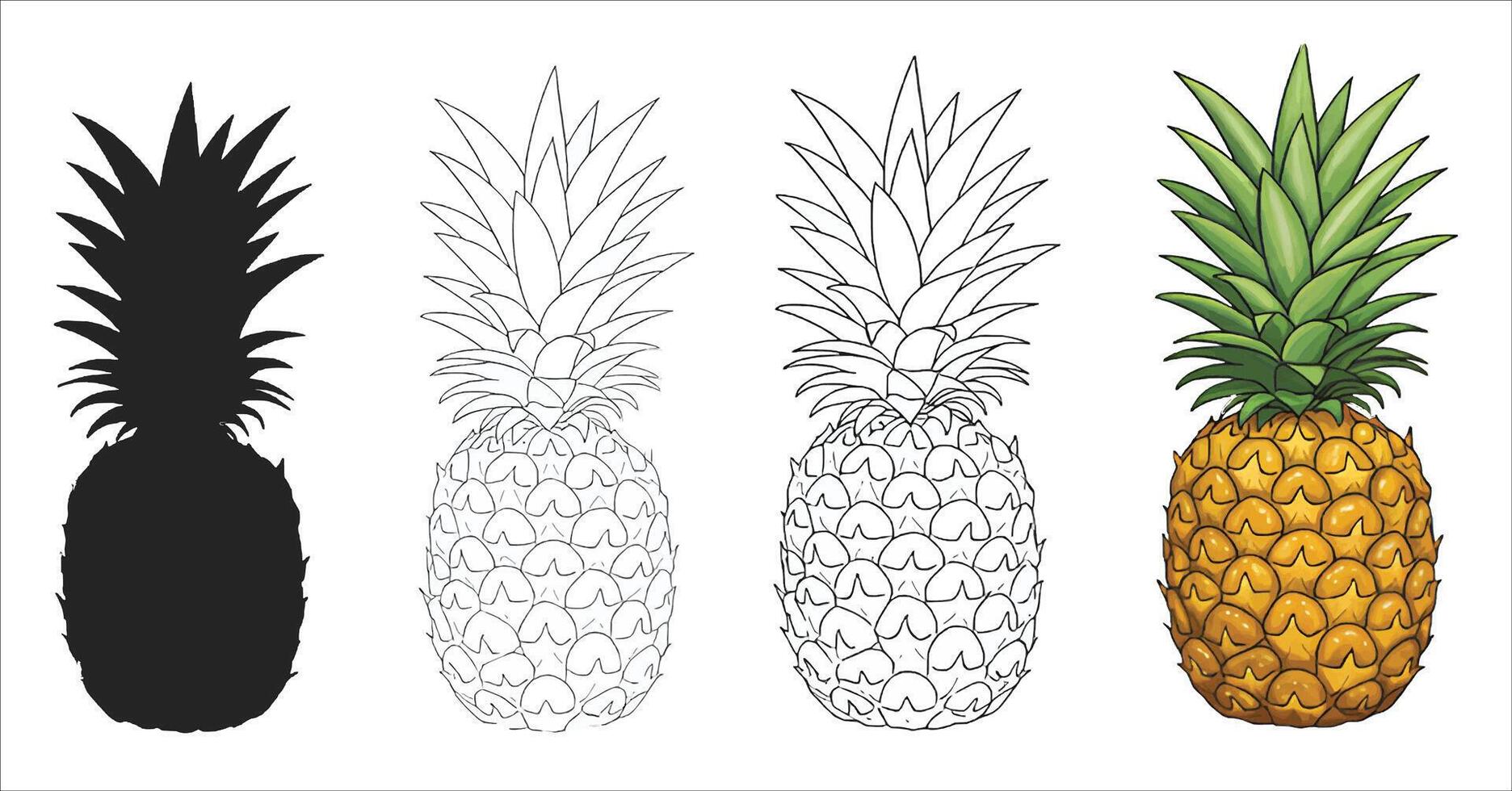 collection of pineapple tropical fruits isolated on white background vector