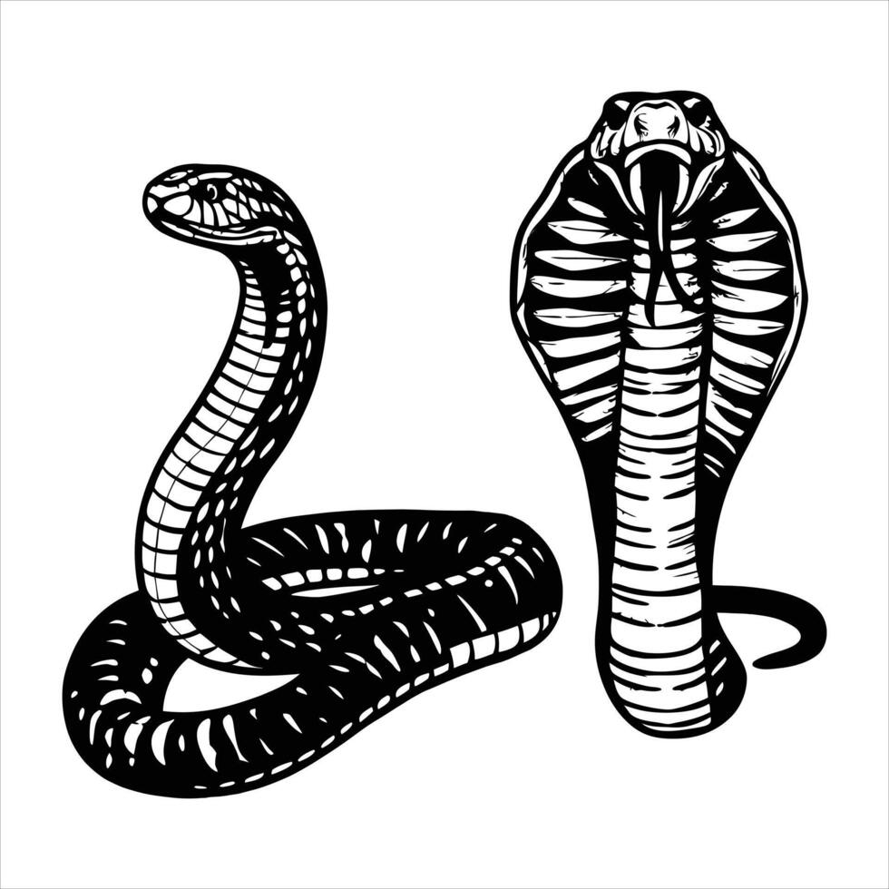 Hypnotic Snake Gaze vector