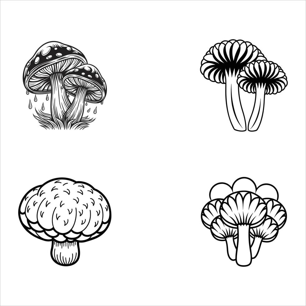 Fungi of the Wild vector