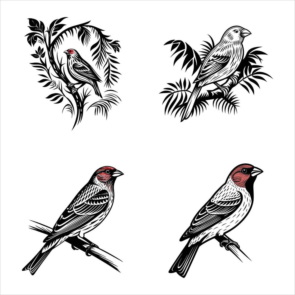 Cheerful Finch Perch vector