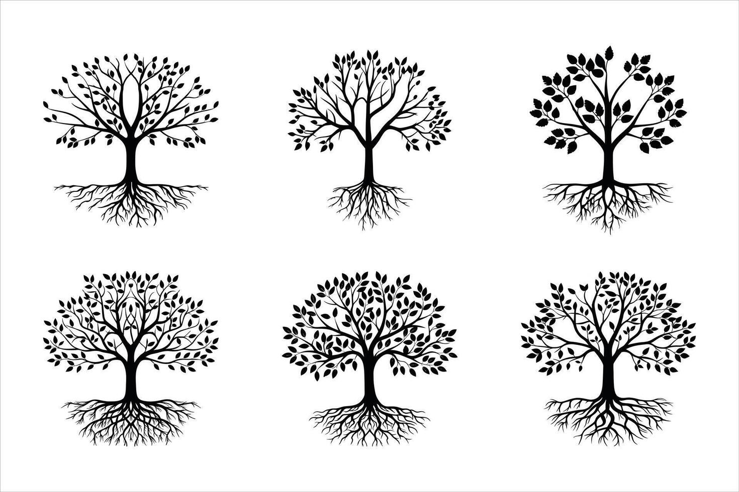 Ancient Wisdom Grows vector