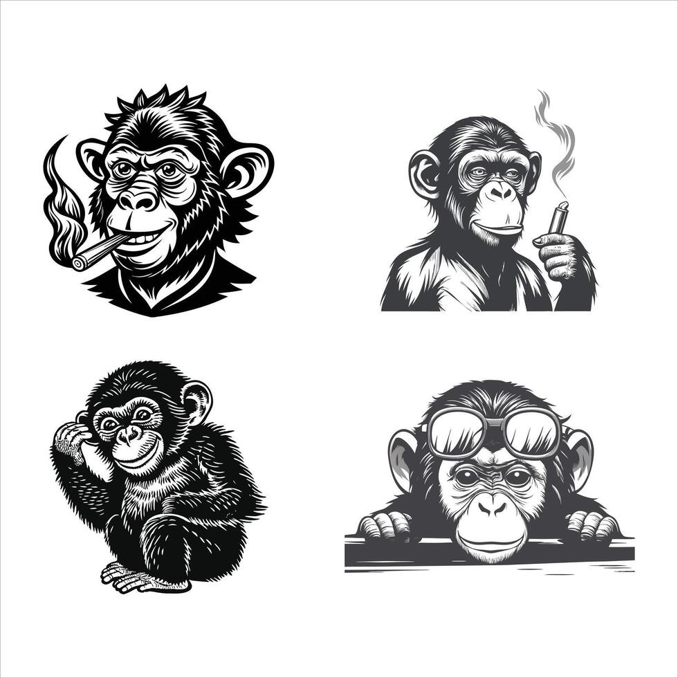 Friendly Monkey in the Canopy vector