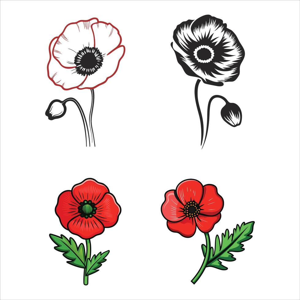Timeless Poppy Elegance vector
