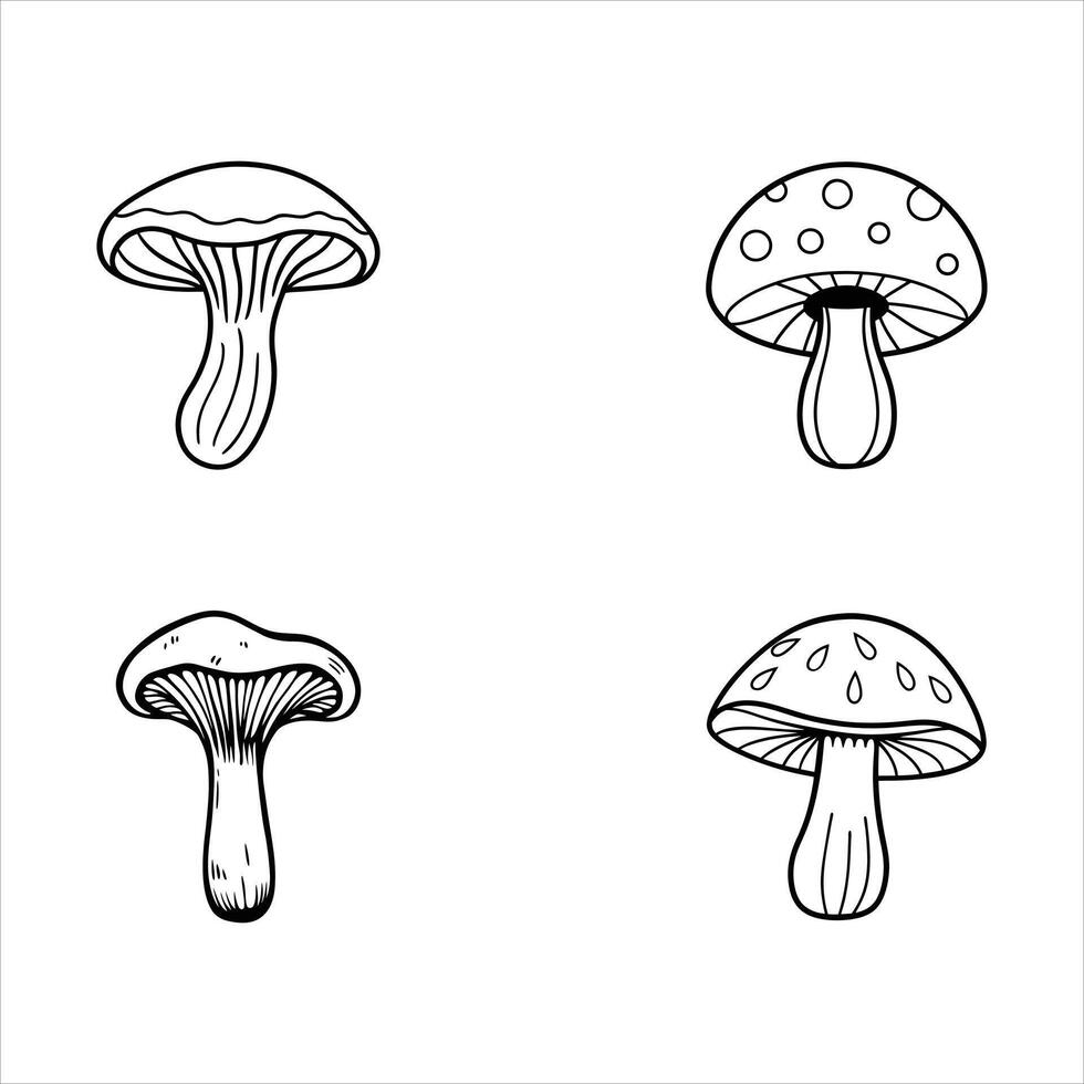 Woodland Mushroom Patch vector