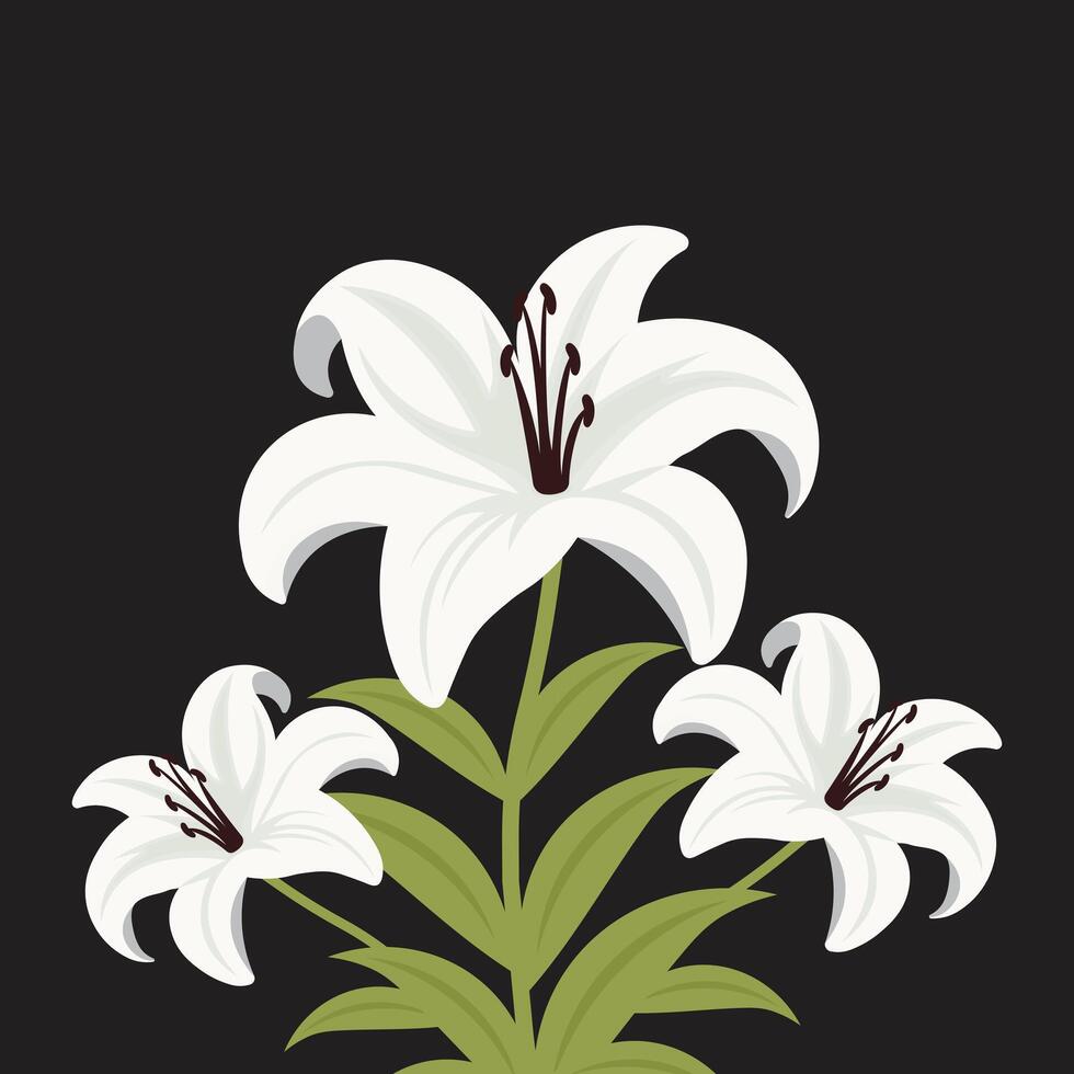 white lily flower flat illustration. vector