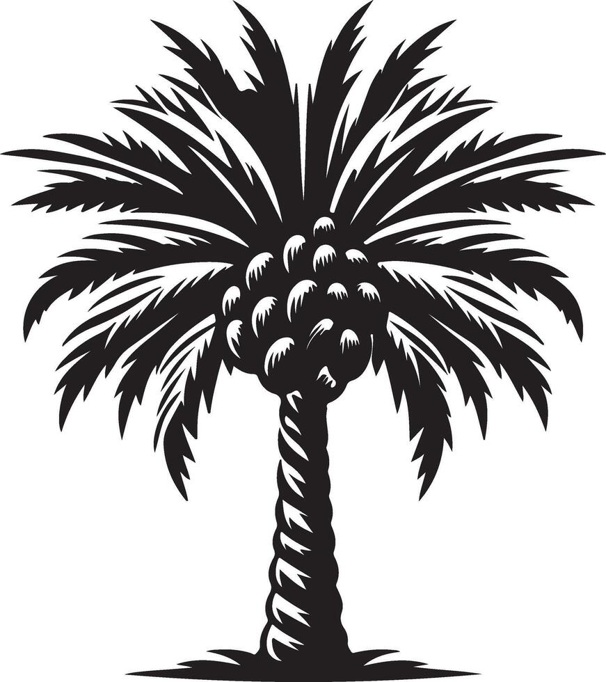 Black and white palm tree illustration with coconuts nature tropical summer design vector