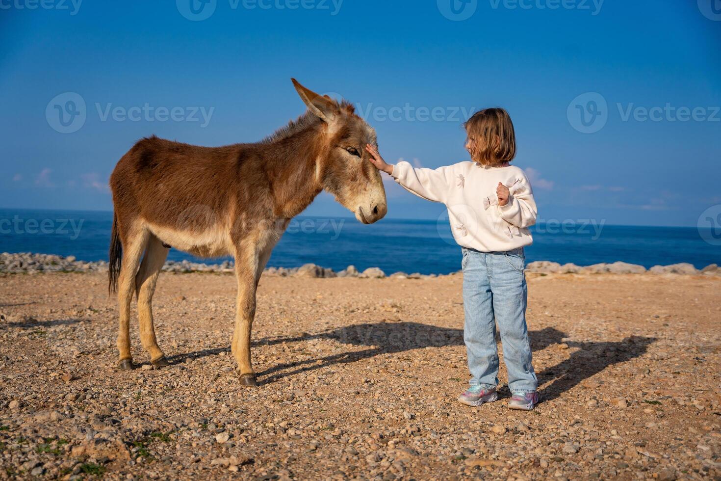 A little girl gently pets a donkey in the National Donkey Park on the northeasternmost cape of Northern Cyprus. Heartwarming connection between children and wildlife in a remote natural setting. photo