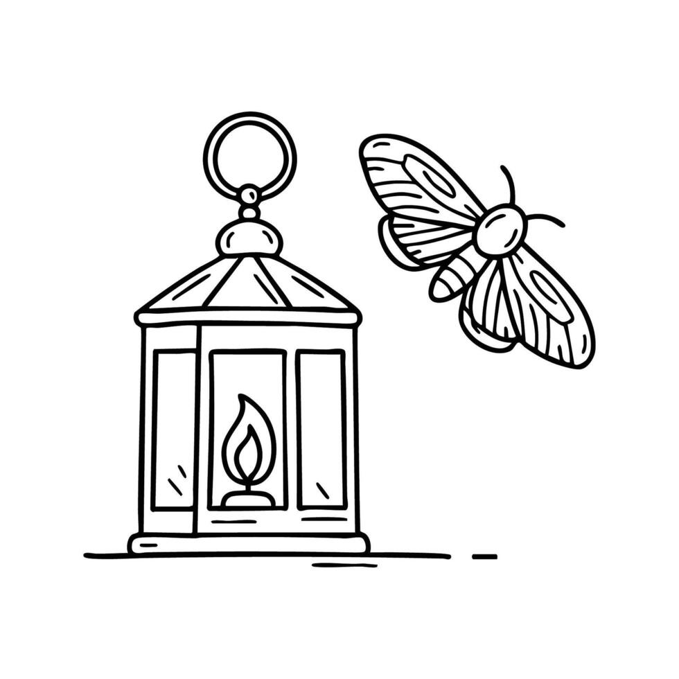 A moth circling a glowing lantern on a porch vector