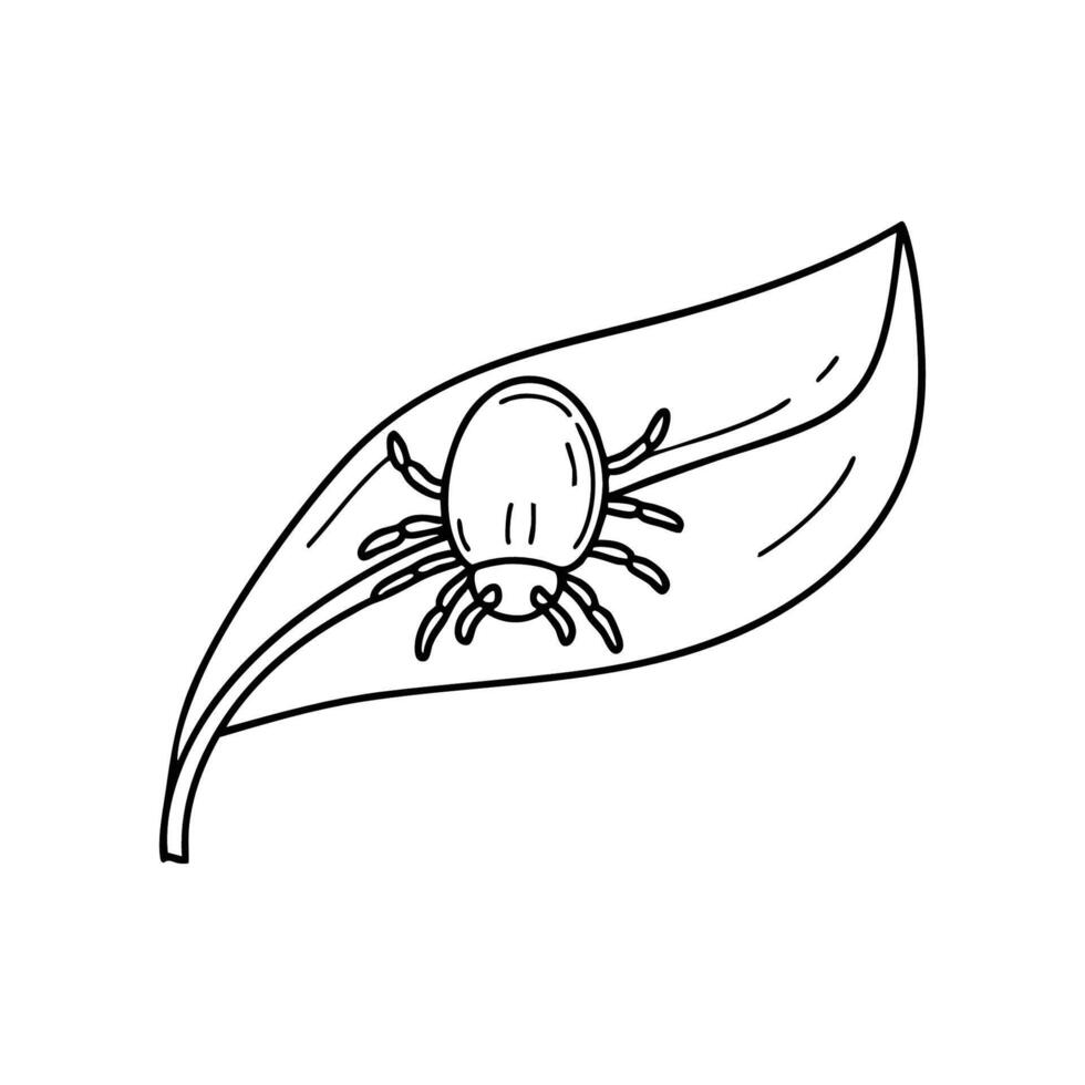 A tiny mite crawling on a leaf, its legs gripping the surface vector