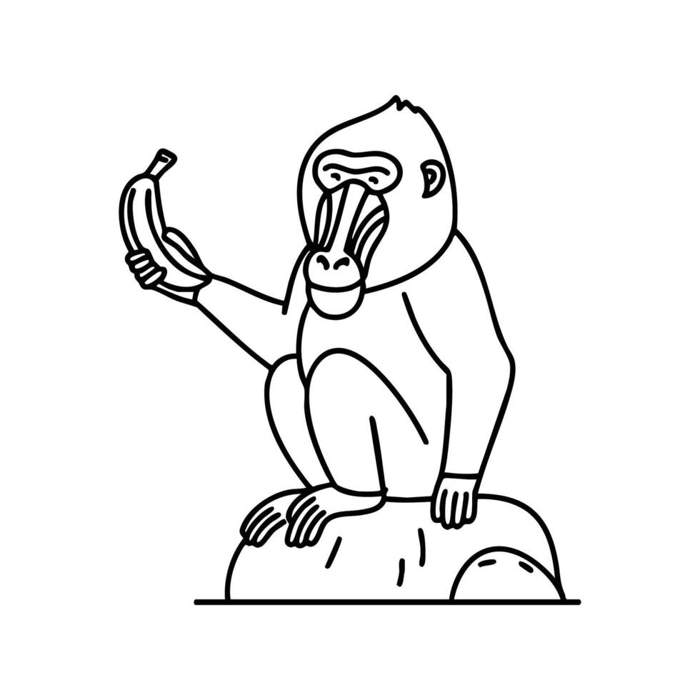 Mandrill sitting on a rock holding a banana vector