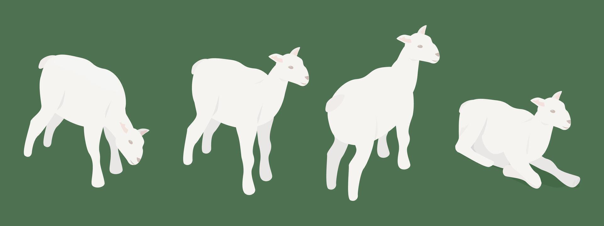 Pack of Four Lambs in Isometric Perspective - Easy to Rearrange vector