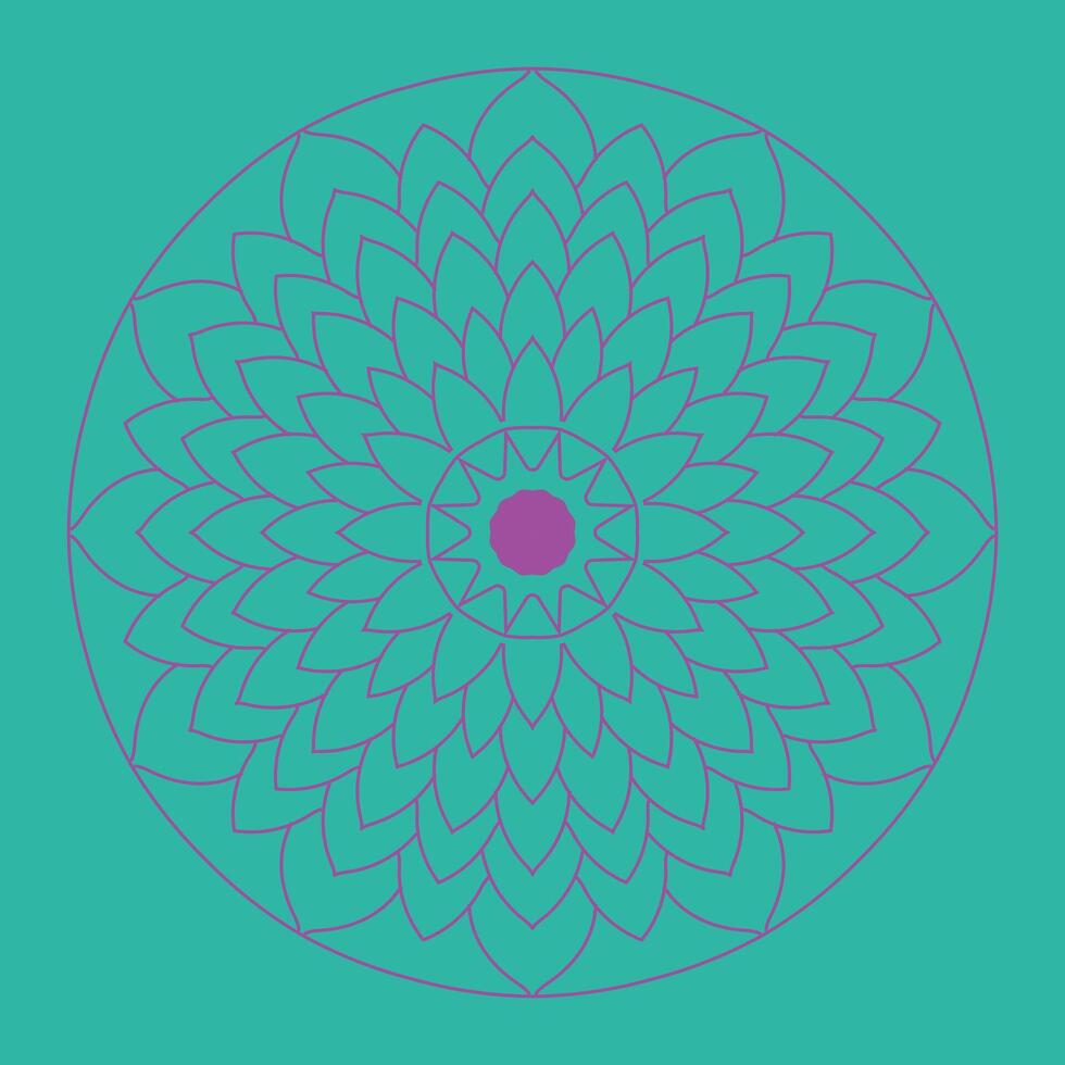 Unique Mandala Design Inspirations Beginners vector