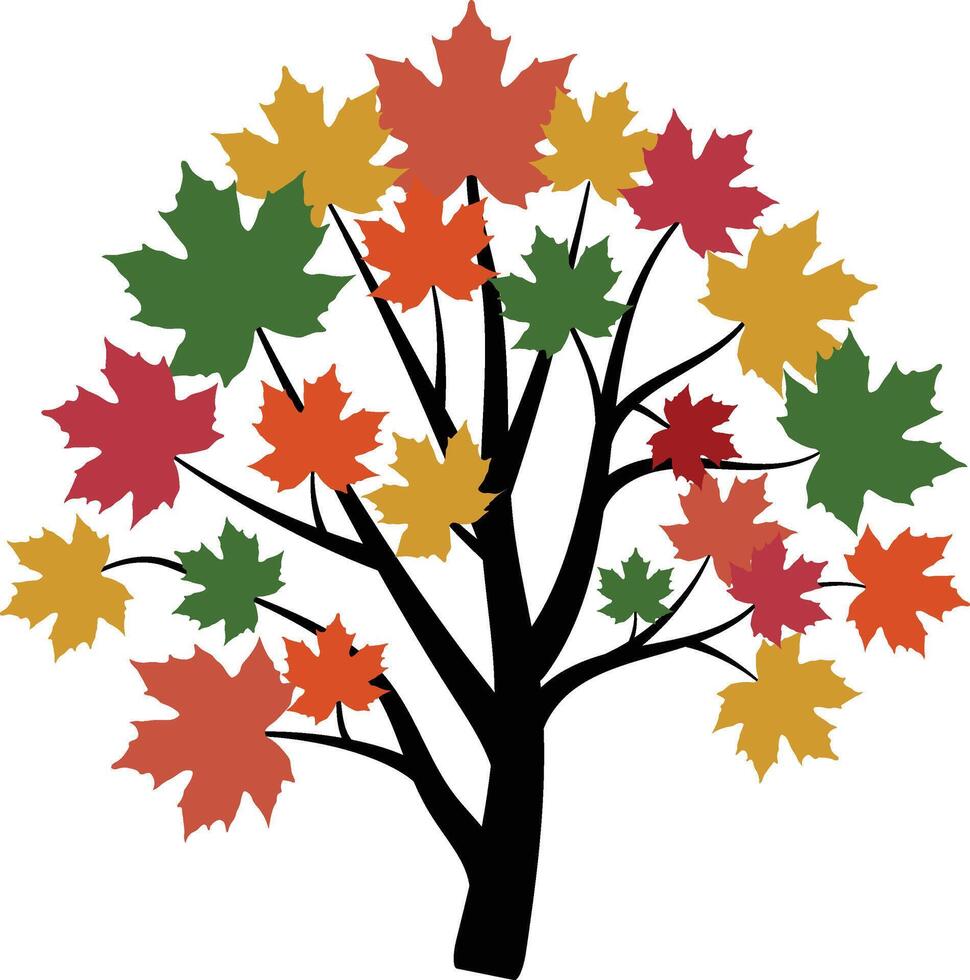 Colorful Maple Tree with Autumn Leaves vector