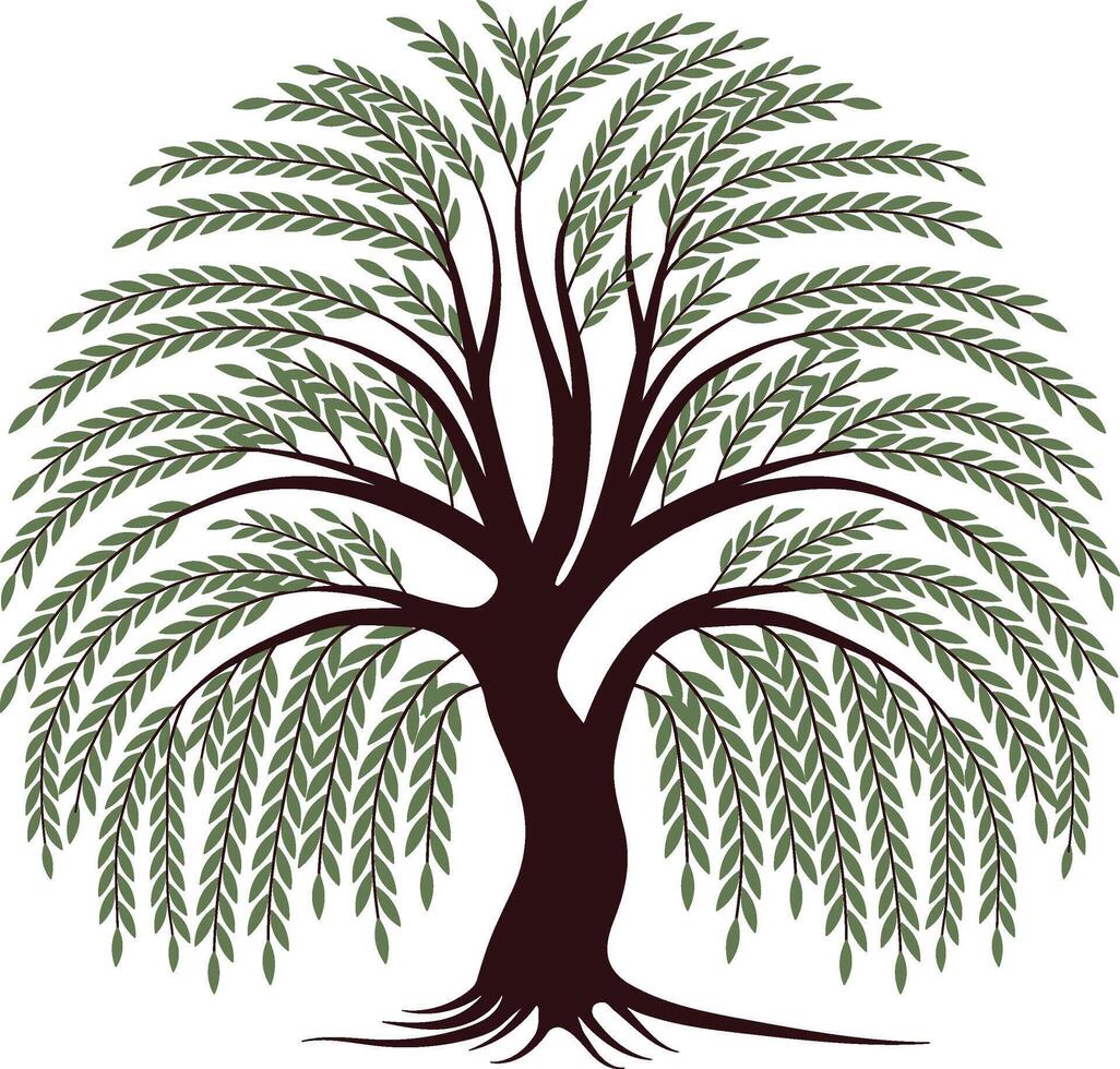Graceful Weeping Willow Tree With Roots vector