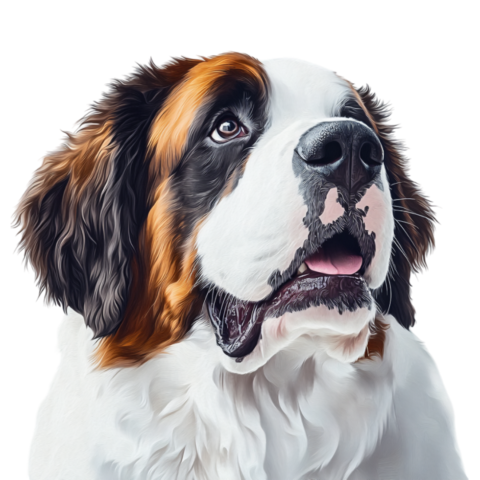 A close up of a dog with its mouth open png