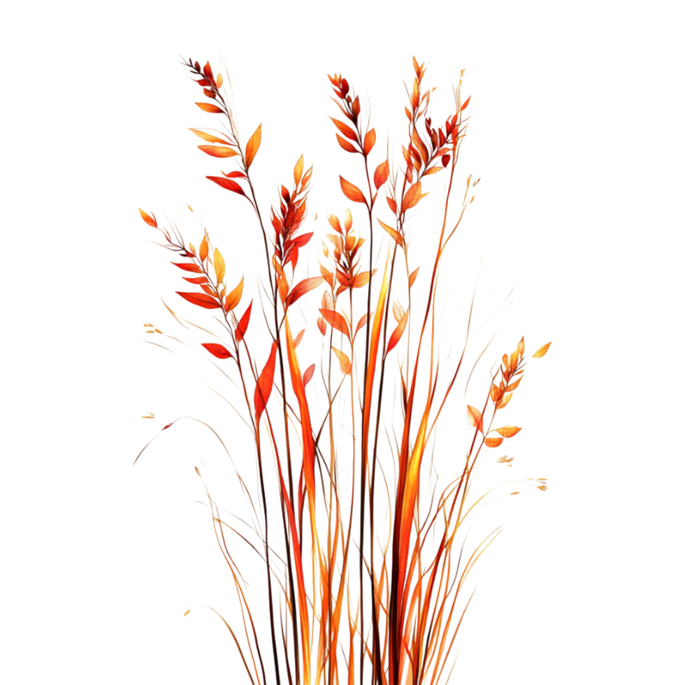 watercolor painting of red and orange grass on a transparent background png