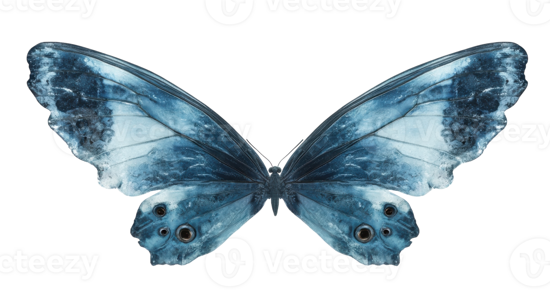Magnificent blue butterfly displaying intricate patterns with wide open wings against a plain background png