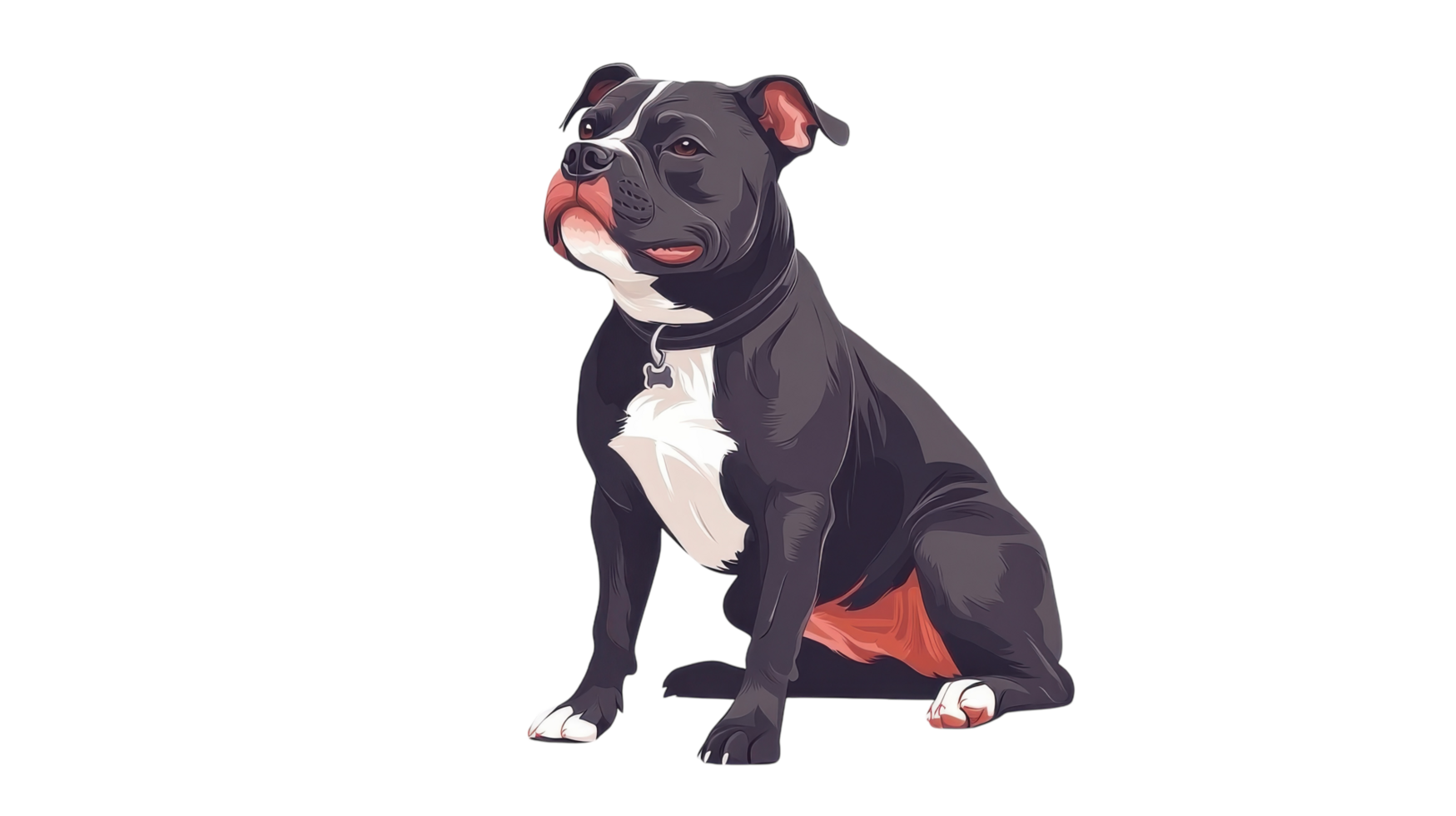 Black and white dog sitting proudly, showcasing its playful and friendly demeanor in a stylized portrait png