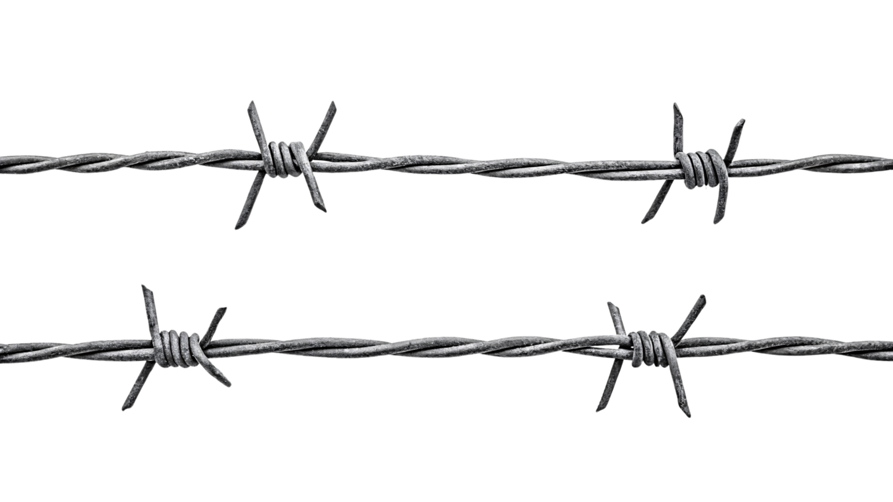 Parallel lines of gray barbed wire stretch horizontally, evenly spaced spines and coiled knots conveying an organized yet restrictive presence png