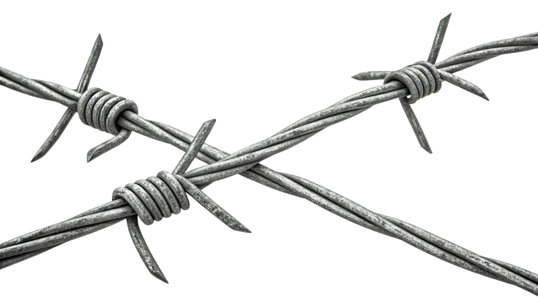 Two intersecting strands of barbed wire, their metallic sheen highlighting sharp spines and coiled knots, symbolizing division or security with an industrial aesthetic png