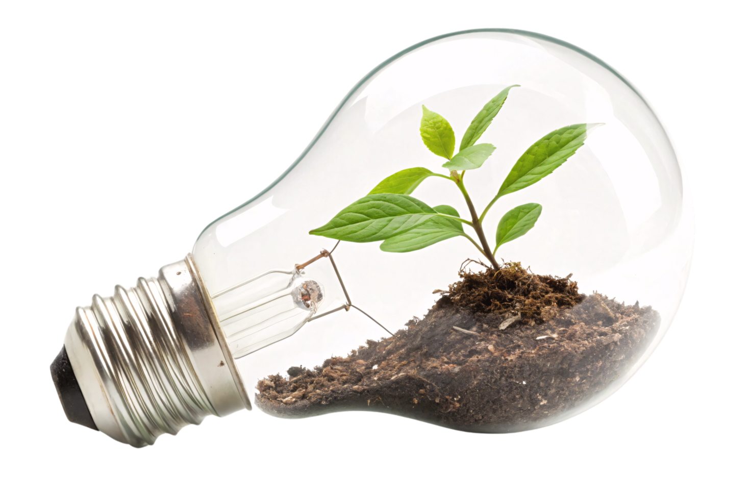 A lightbulb repurposed as a miniature greenhouse, featuring soil, a sprouting plant, and a visible filament, merging technology and nature png
