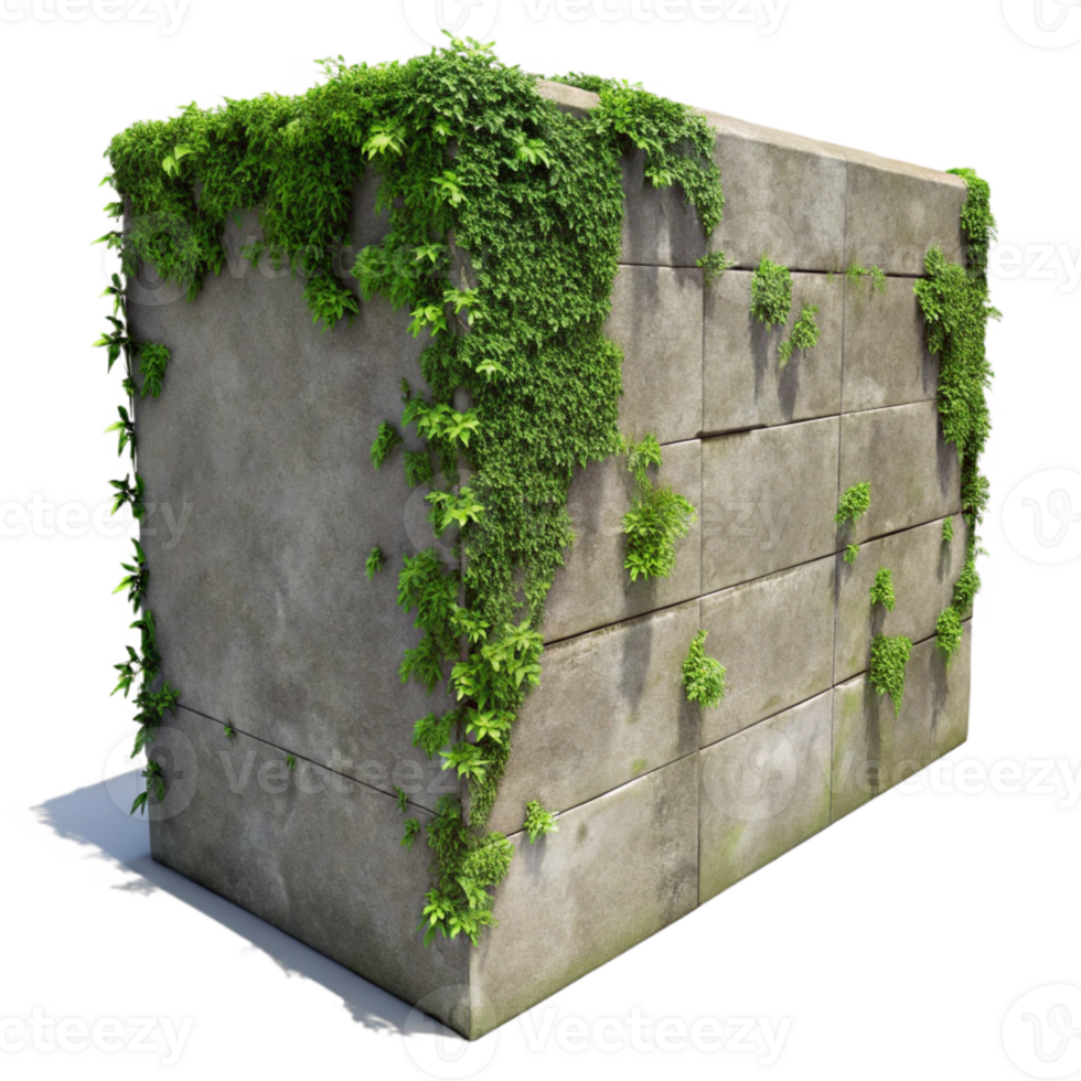 dramatic minimalist Overgrown Concrete Wall Texture Transparent Background premium png