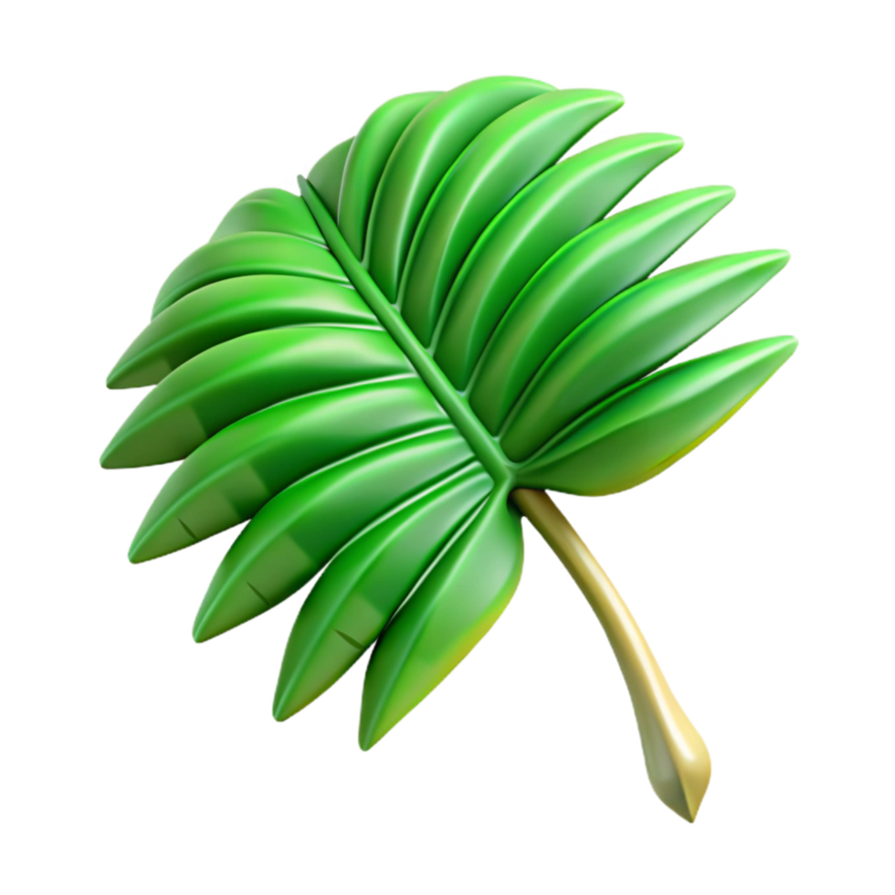 beautiful classic Palm Leaf Tropical Green Isolated Cutout authentic png