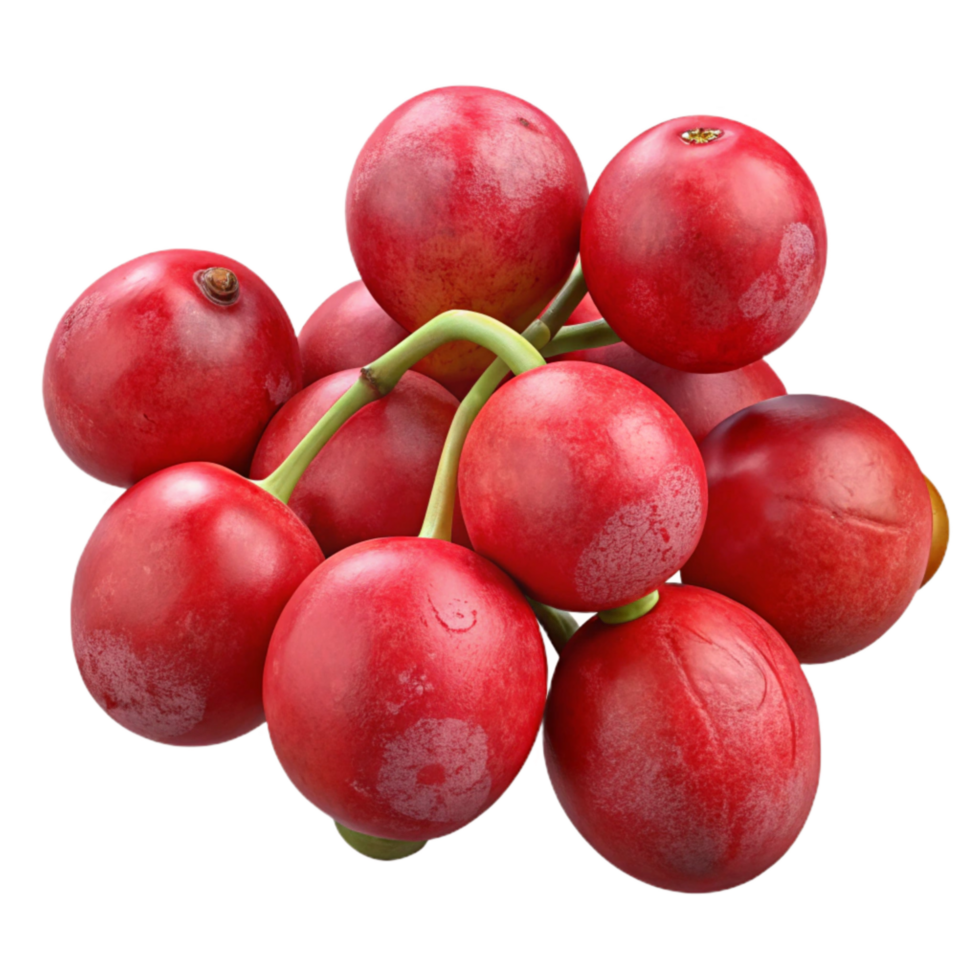 stunning rustic Schisandra Berries Isolated with Red Hues high quality png