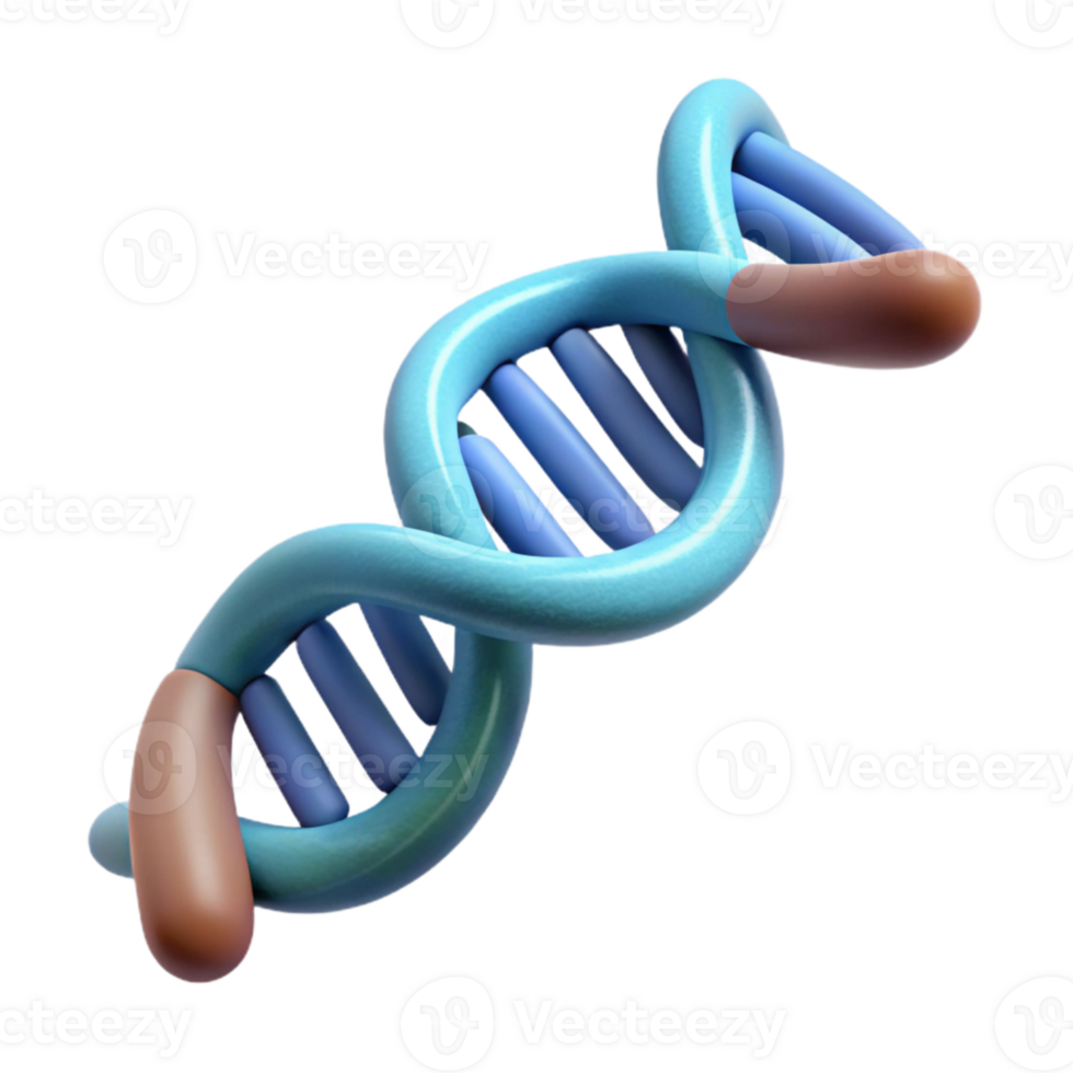 elegant contemporary Side View Dna Molecule Isolated on White high quality png
